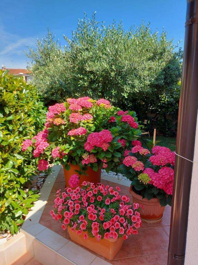 Appartamento Alida Umag Extérieur photo